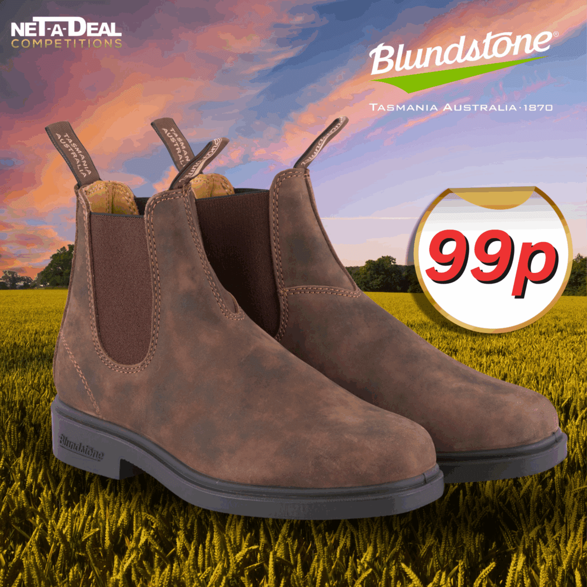 BLUNDSTONE 1306 Boots